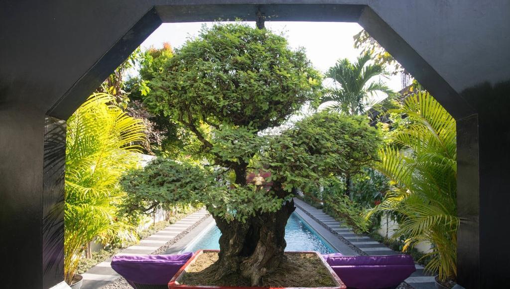 Bonsai Villas Seminyak  Ruang foto