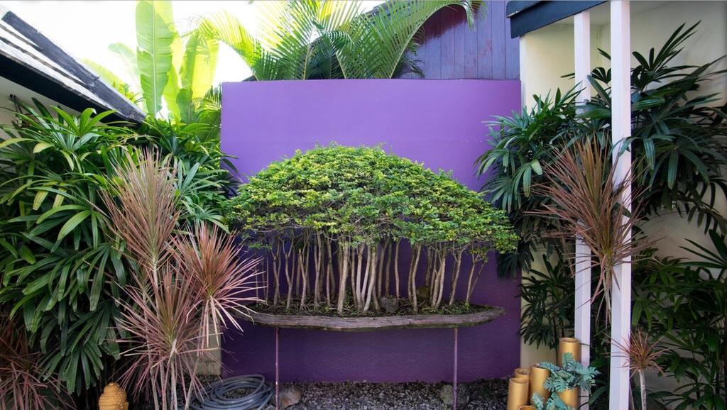 Bonsai Villas Seminyak  Ruang foto